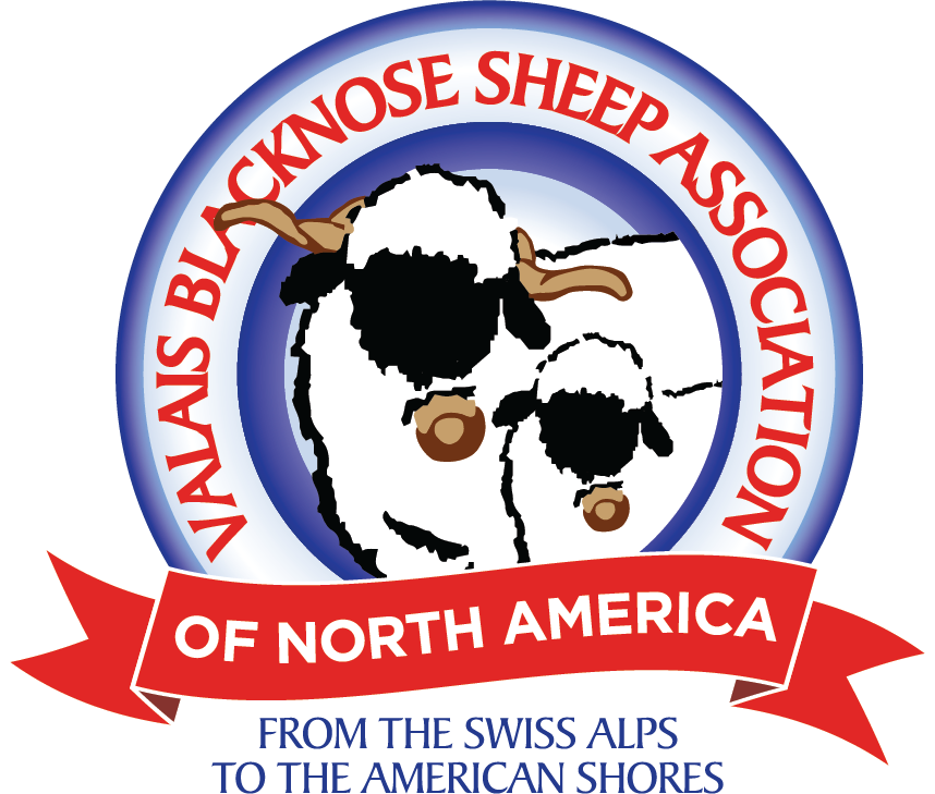 Valais Blacknose Sheep Association of North America